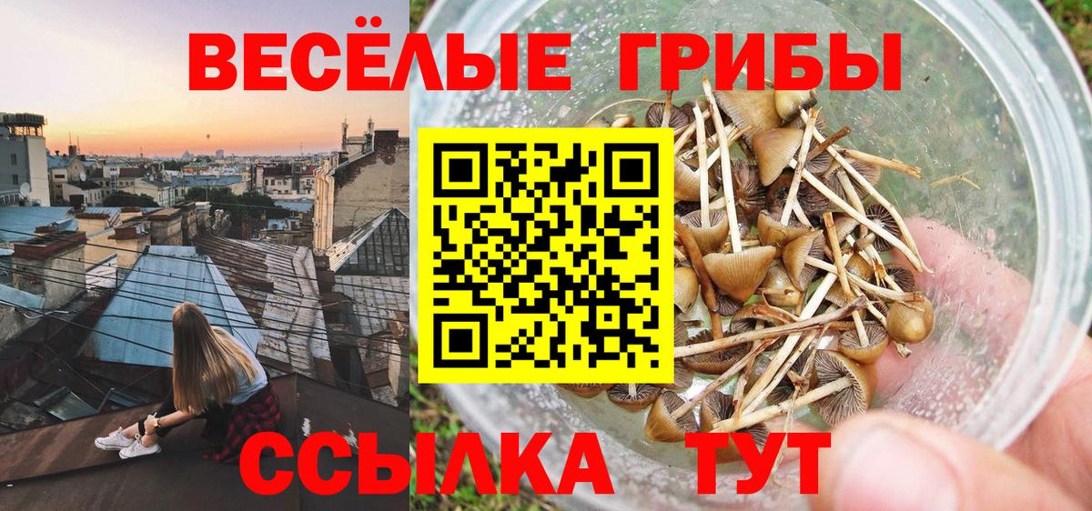 Псилоцибиновые грибы мицелий  Вход с VPN  Мурманск 